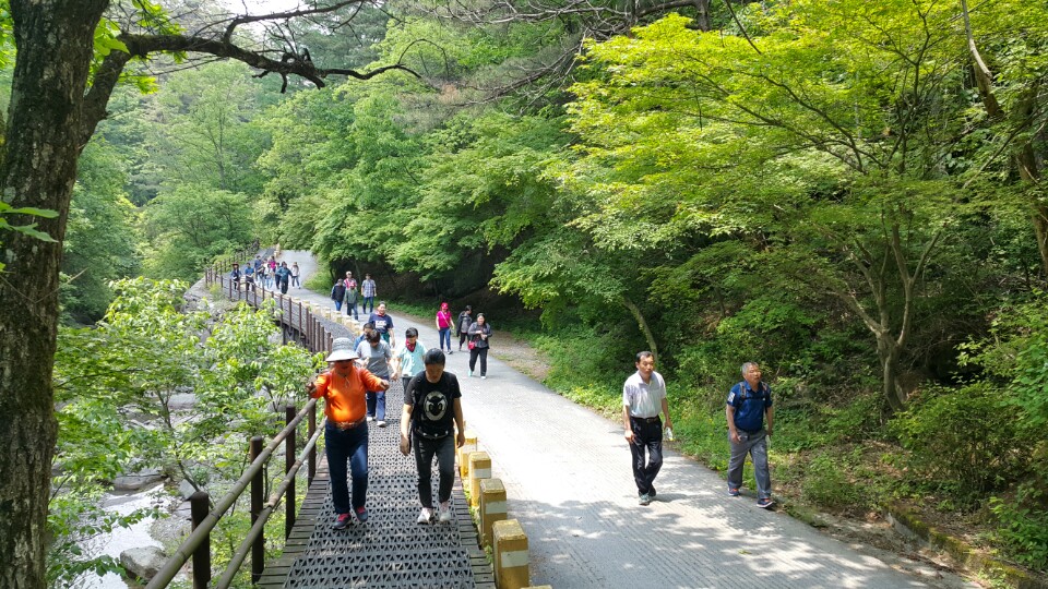 KakaoTalk_20170518_140936787.jpg