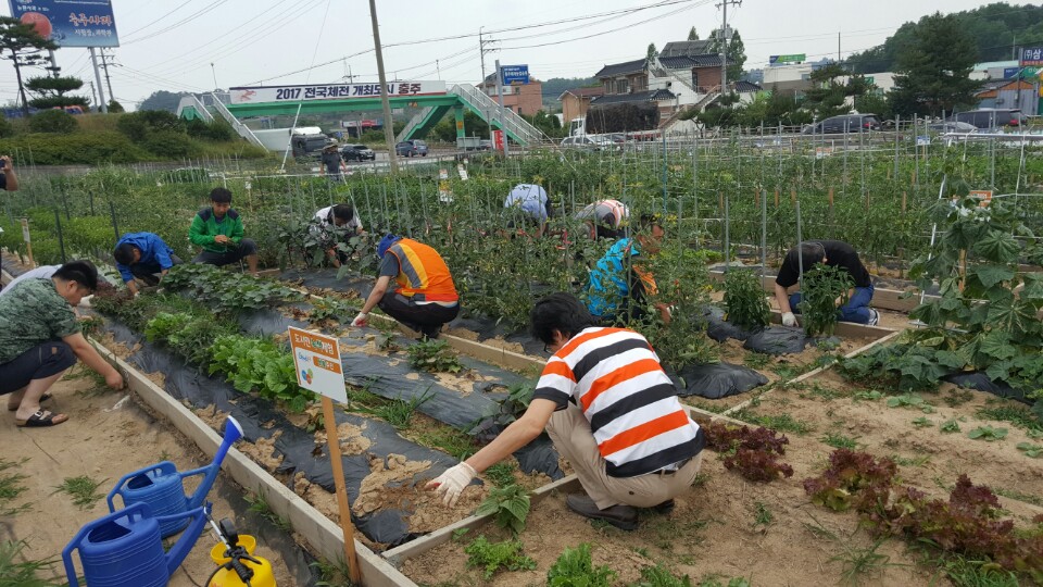 KakaoTalk_20170613_190553318.jpg